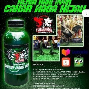 Kemin Cakar Naga Hijau